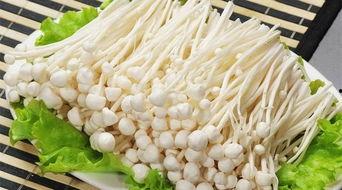 金针菇今日爆料最新,揭秘娱乐圈惊人内幕! 第3张 金针菇今日爆料最新,揭秘娱乐圈惊人内幕! 第3张